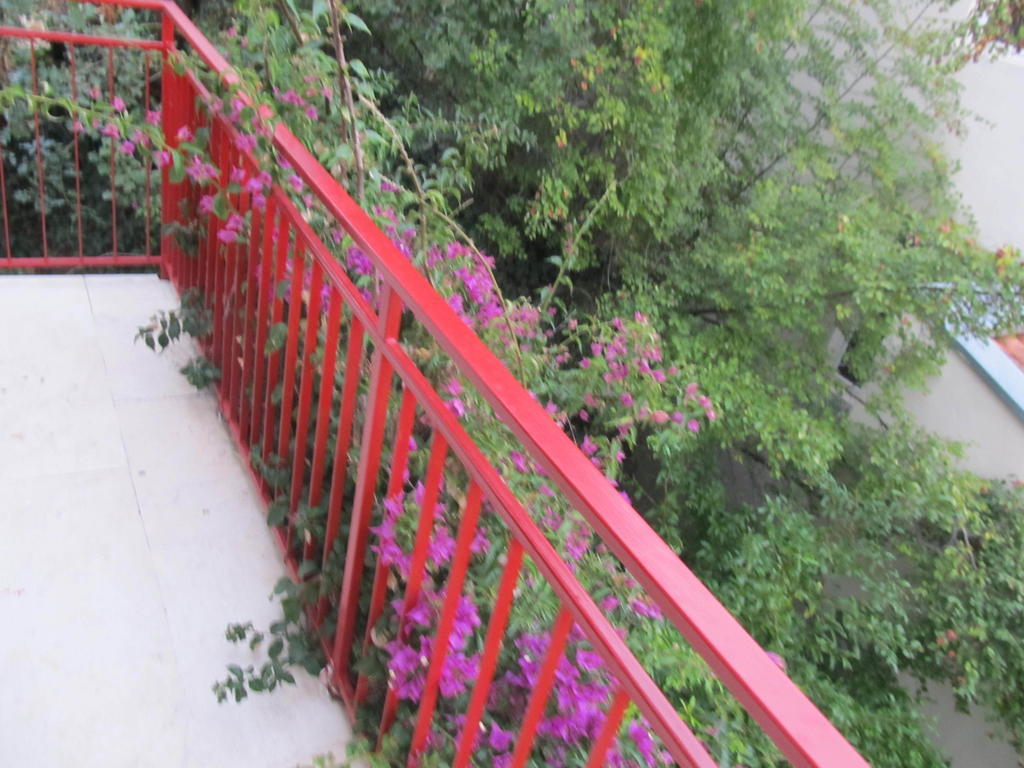 Apartments Almaja Villa Petrovac Buitenkant foto