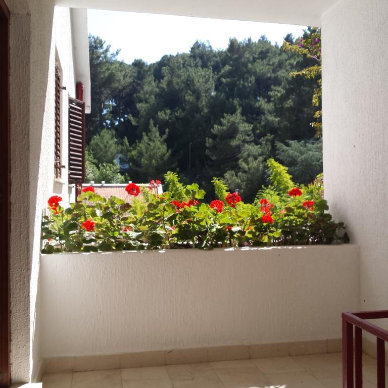 Apartments Almaja Villa Petrovac Buitenkant foto